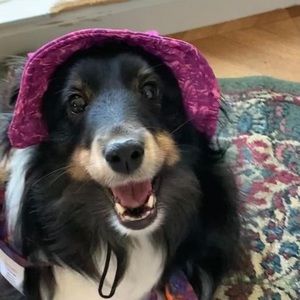 Meet your Posher, Lynn